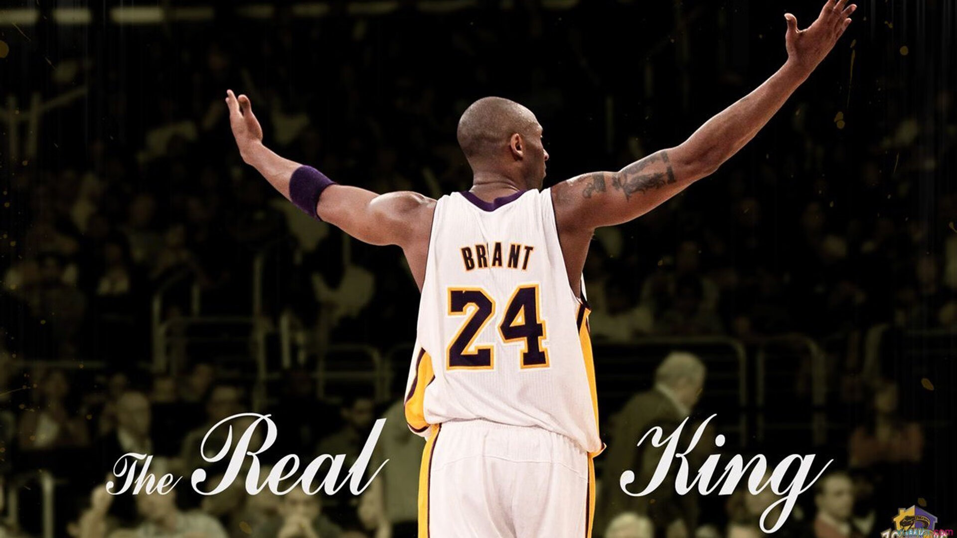 九游9游-悉尼国王主场观众热情高涨，悉尼比赛